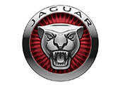 Jaguar Clutch